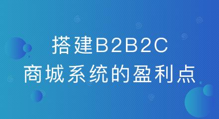 企業(yè)搭建b2b2c商城系統(tǒng)的盈利點(diǎn)有哪些?